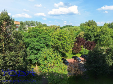 Mieszkanie Wynajem Katowice Brynów Władysława Orkana